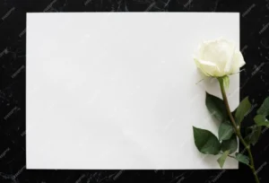 Hoja blanca con flor blanca, para expresar condolencias con honestidad y empatía
